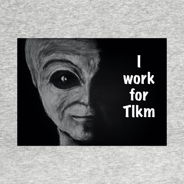 I work for Tlkm by SandiaOFC